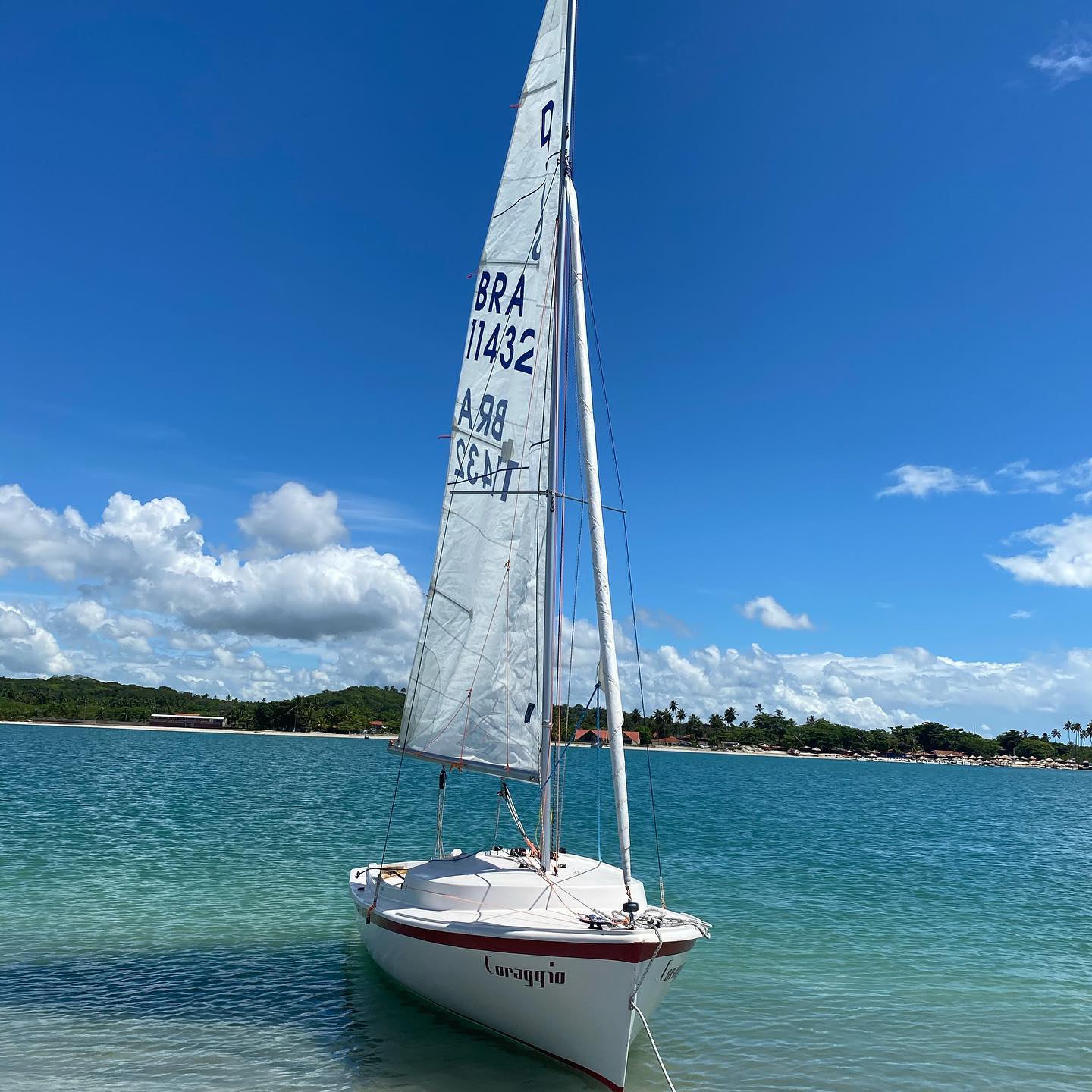 Curso de Vela Profissional